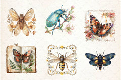 Vintage Spring Insect Clipart Bundle - CraftNest - Digital Crafting and Art