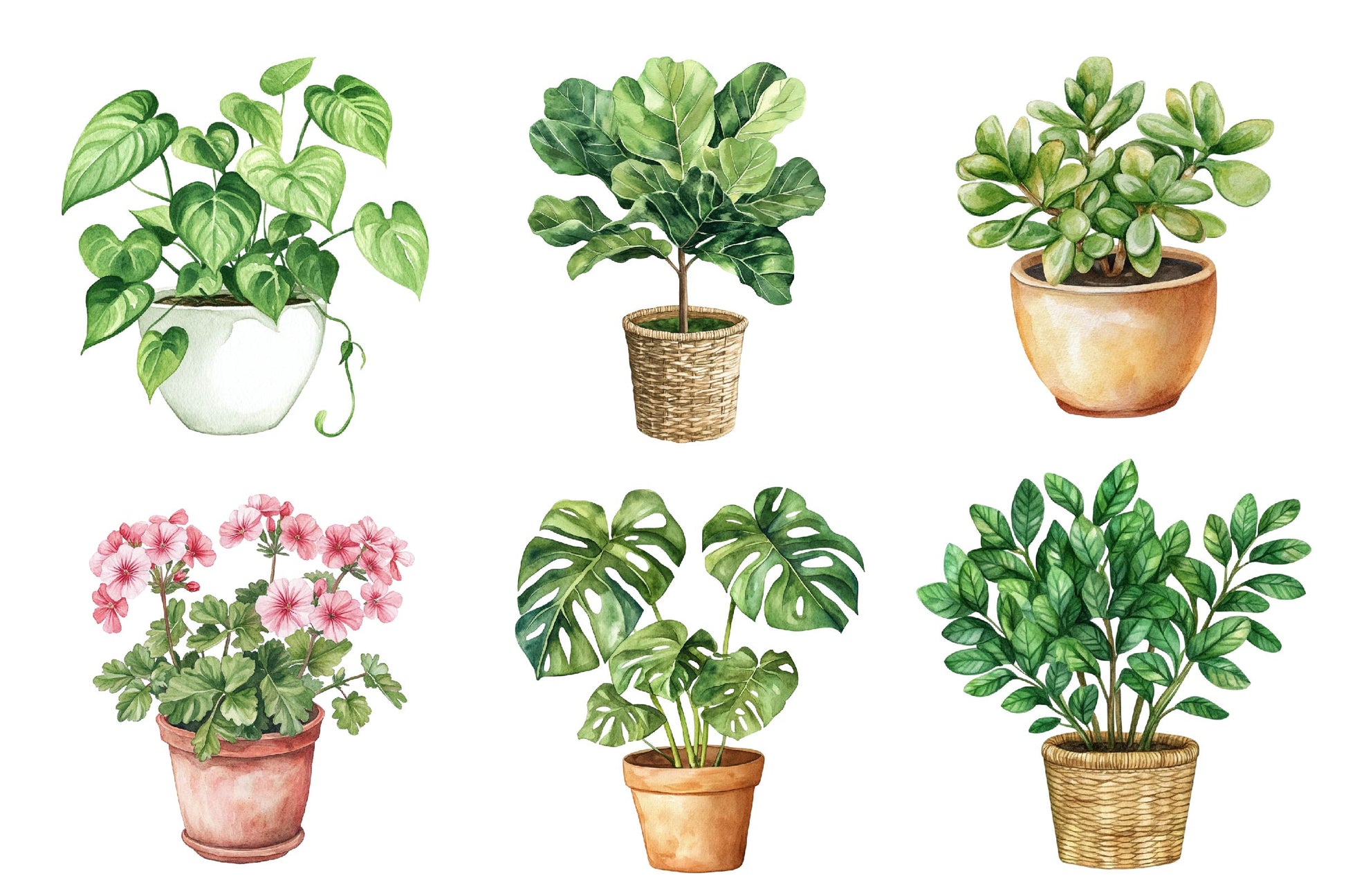 Houseplant Clipart Bundle - CraftNest - Digital Crafting and Art