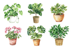 Houseplant Clipart Bundle - CraftNest - Digital Crafting and Art