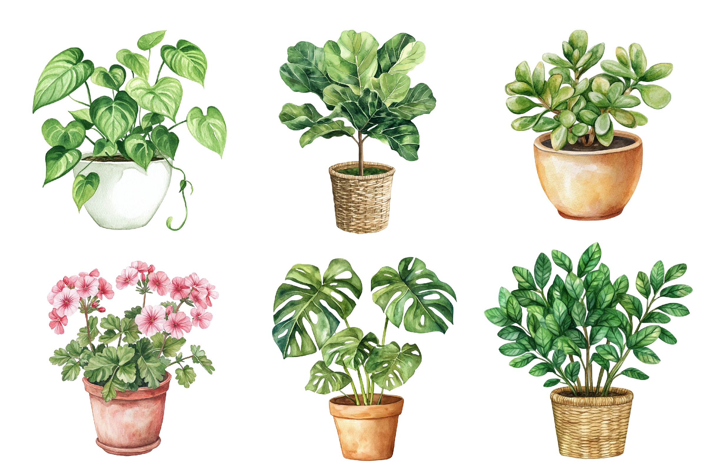 Houseplant Clipart Bundle - CraftNest - Digital Crafting and Art