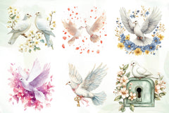 Spring White Doves Clipart Bundle - CraftNest - Digital Crafting and Art