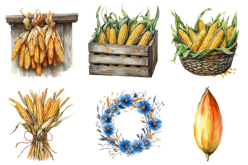 Corn's Clipart Bundle - CraftNest - Digital Crafting and Art
