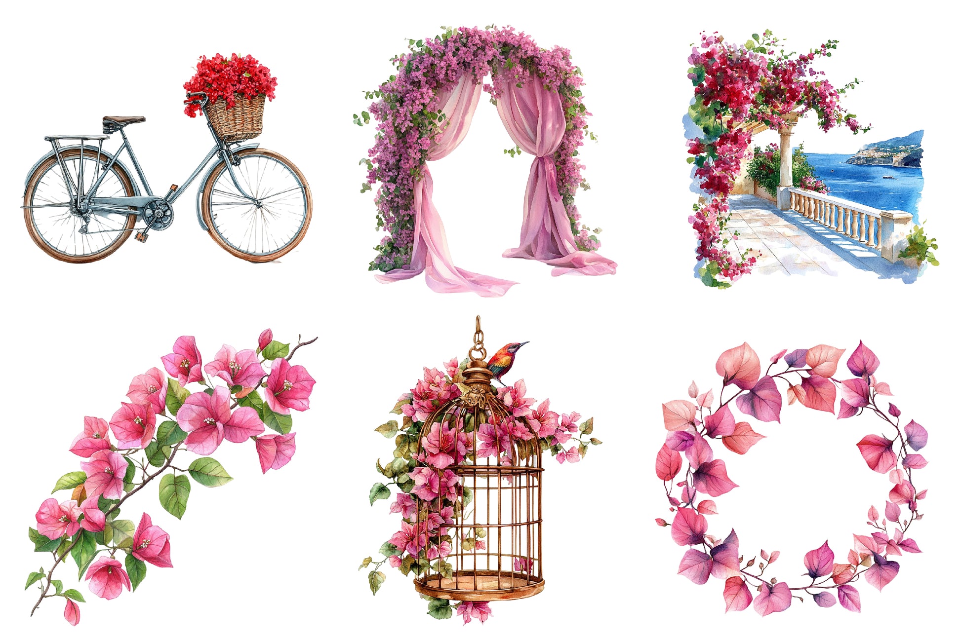 Bougainvillea Flower Clipart Bundle - CraftNest - Digital Crafting and Art