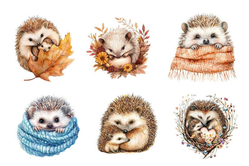 Hedgehog & Hoglet Clipart Bundle - CraftNest - Digital Crafting and Art