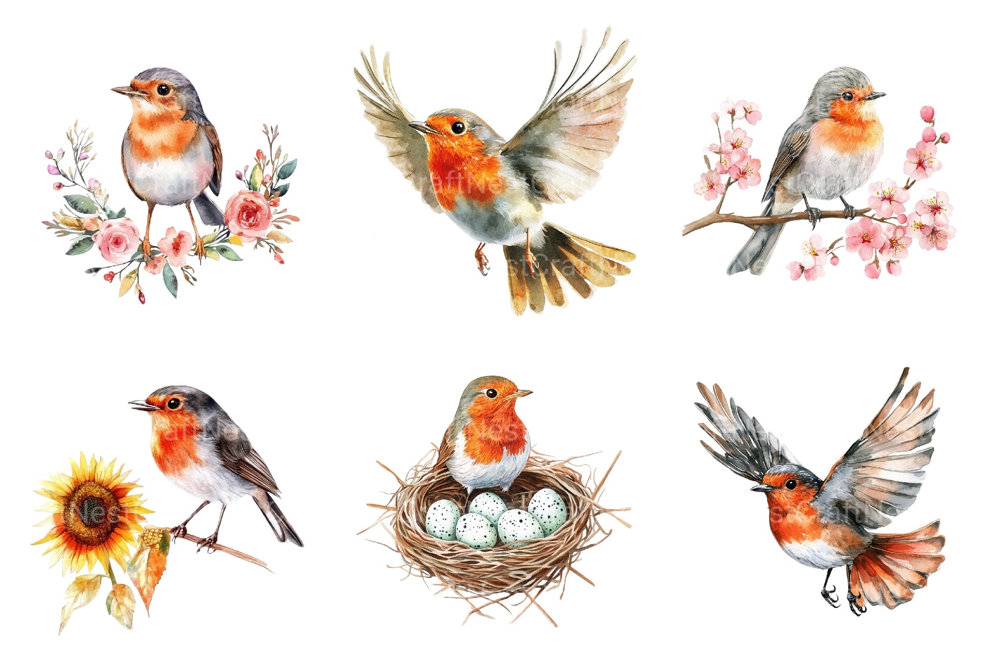 Spring Robins Clipart Bundle - CraftNest - Digital Crafting and Art