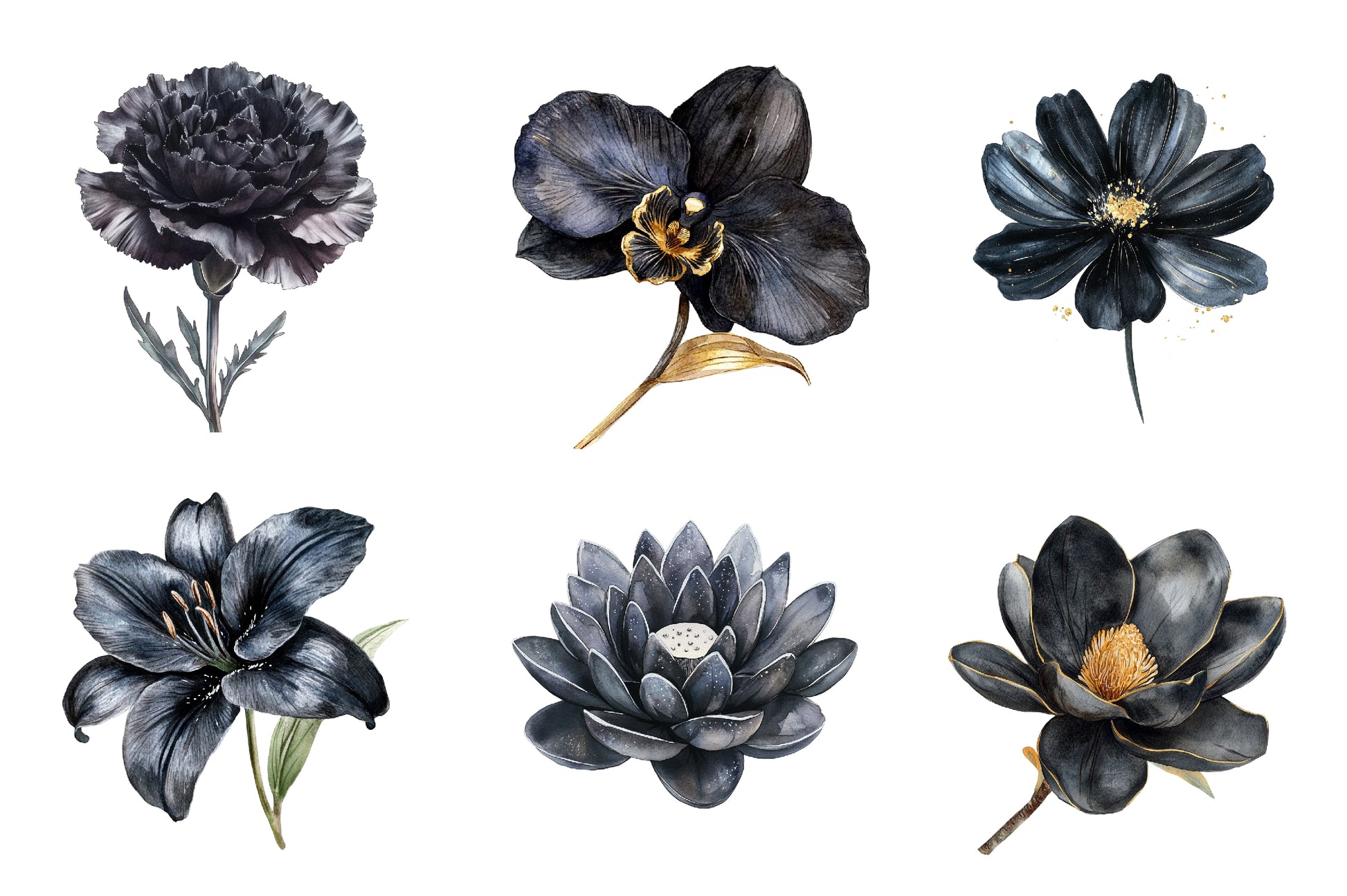 Glitter Luxury Black Spring Flower Clipart Bundle - CraftNest - Digital Crafting and Art