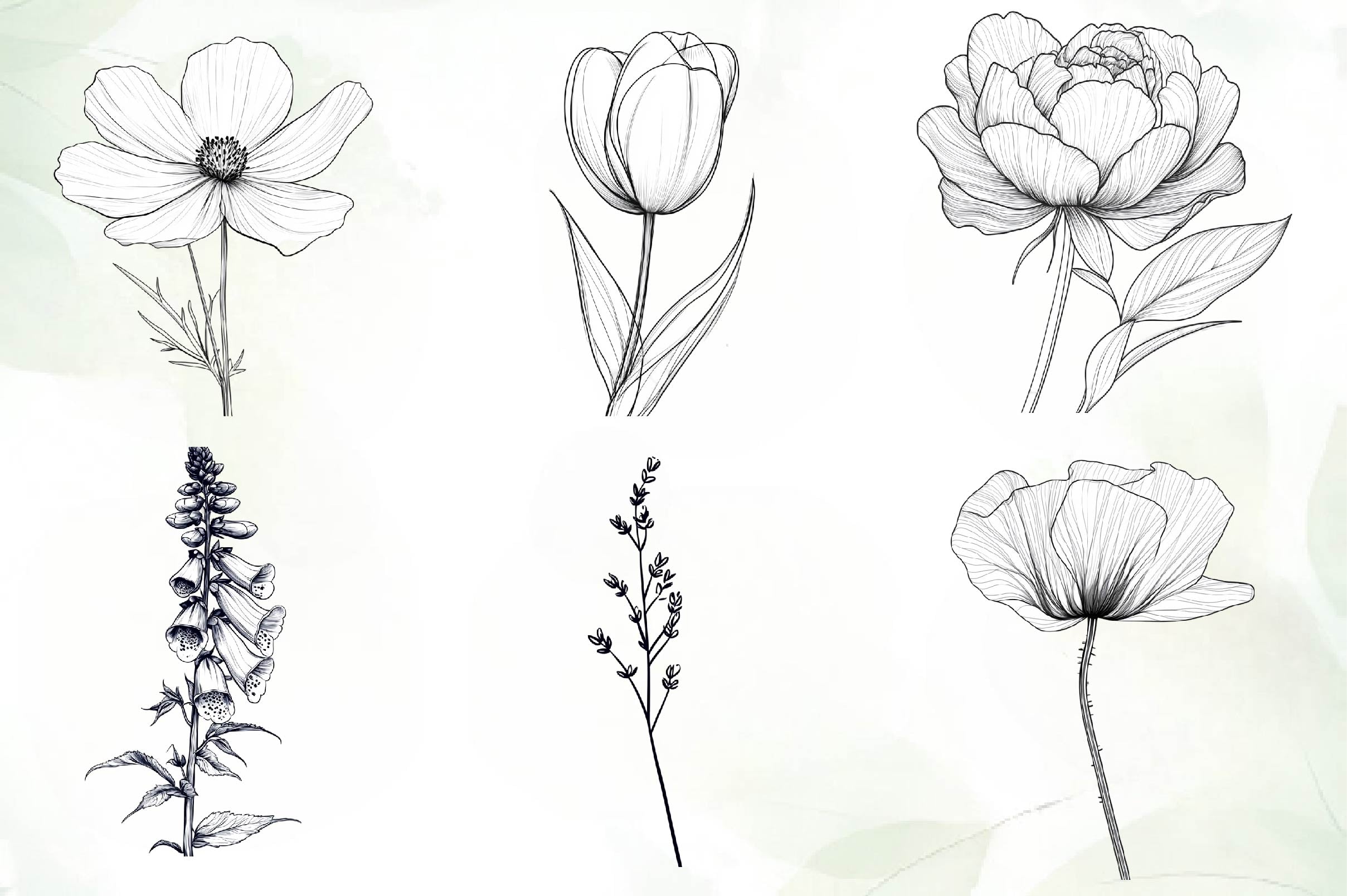 Botanical Line Art Designs Flower Clipart Bundle - CraftNest - Digital Crafting and Art