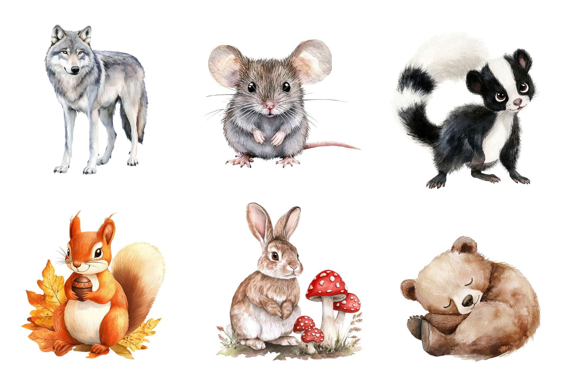 Woodland Forest Animals Clipart Bundle 2 - CraftNest - Digital Crafting and Art