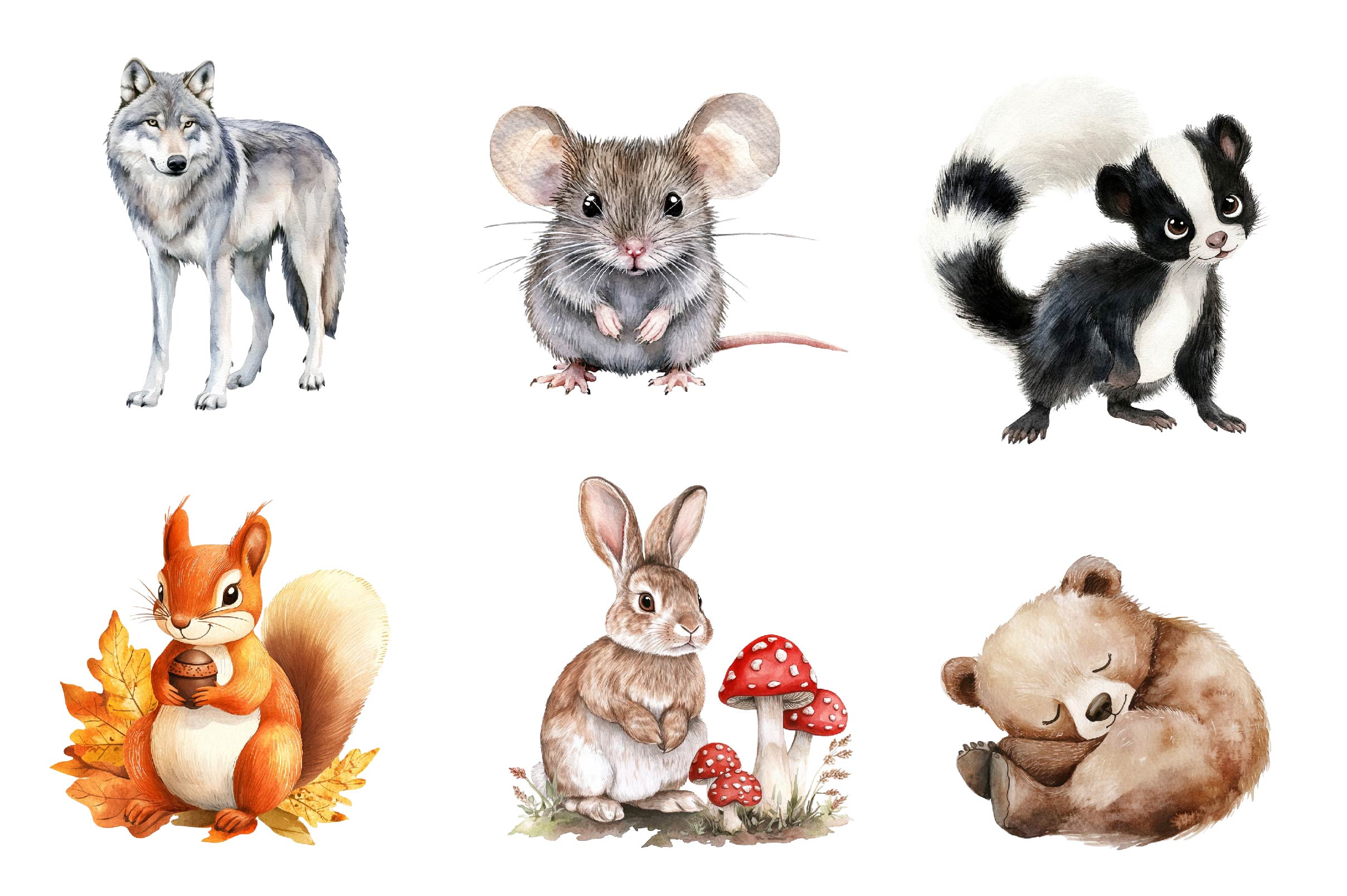 Woodland Forest Animals Clipart Bundle 2 - CraftNest - Digital Crafting and Art