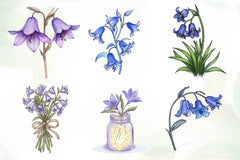 Little Bluebell Flower Bloom Clipart Bundle - CraftNest - Digital Crafting and Art