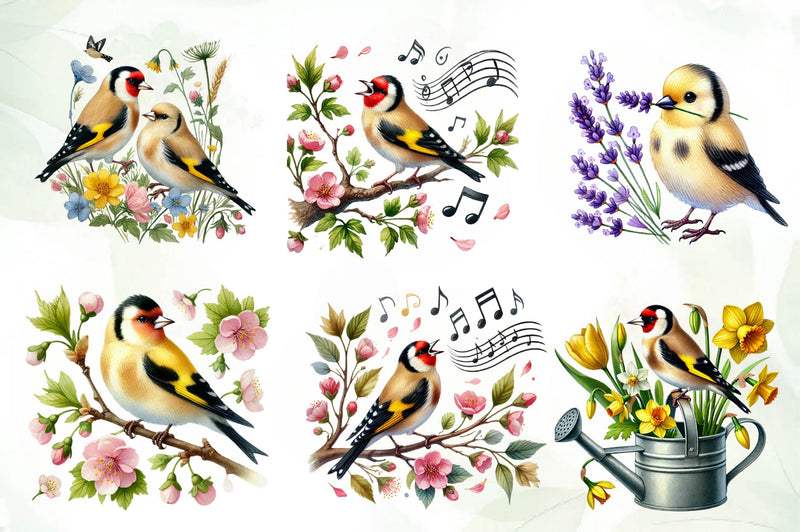 Spring Goldfinch Bird Clipart Bundle - CraftNest - Digital Crafting and Art