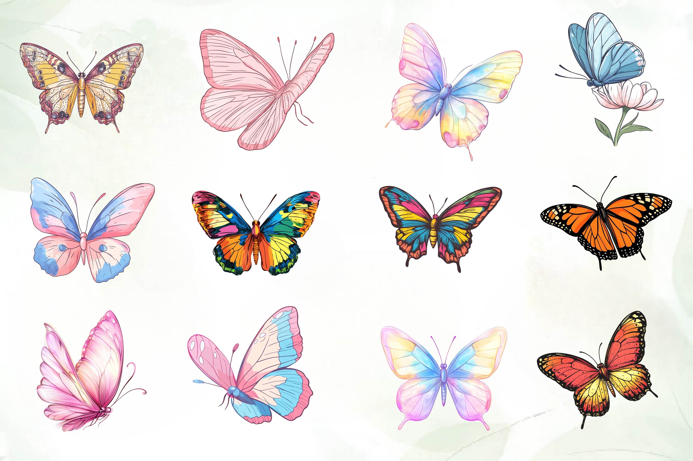 Drawing Butterfly Clipart Bundle - CraftNest - Digital Crafting and Art
