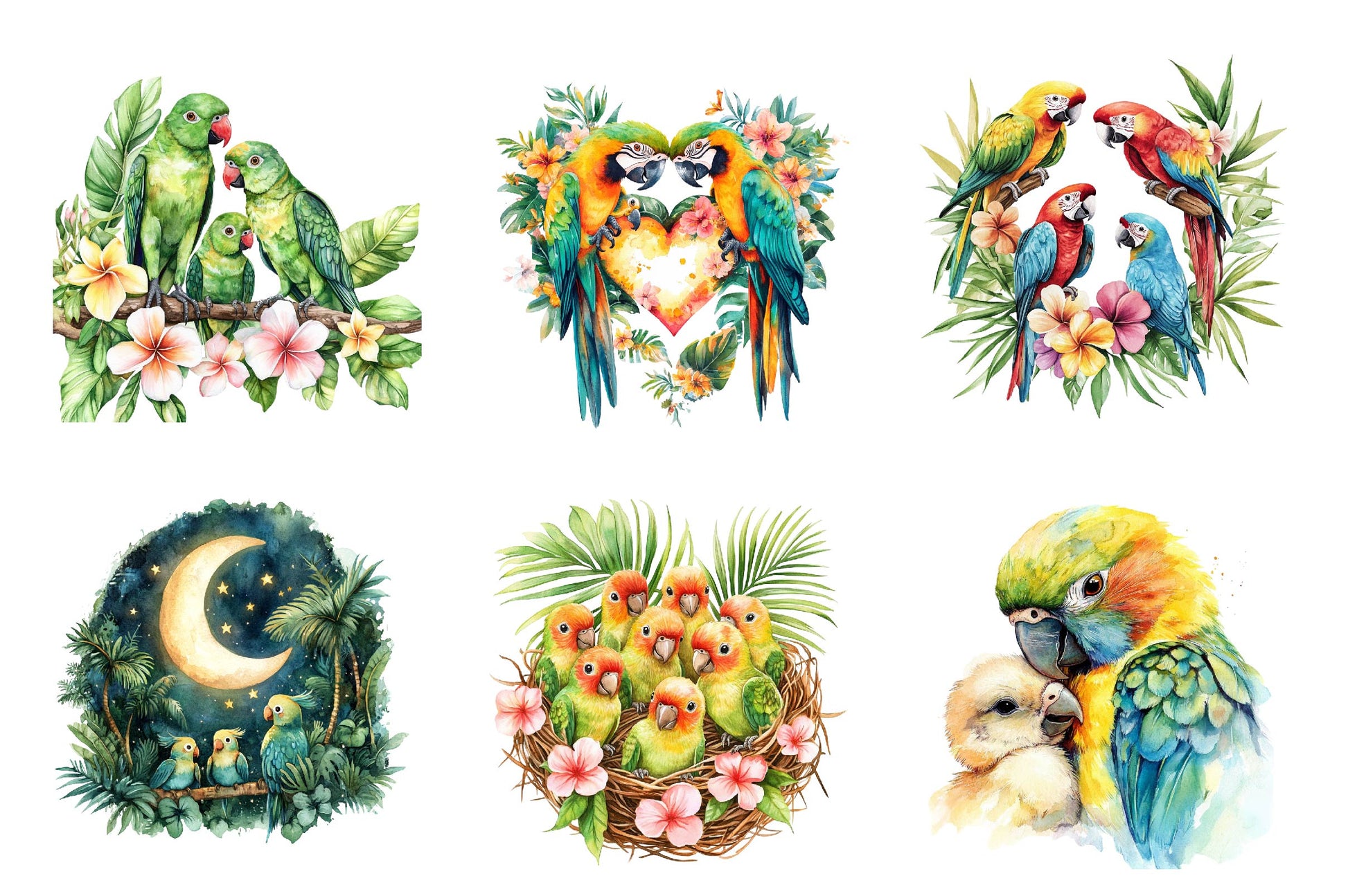 Tropical Parrot Family Clipart Bundle - CraftNest - Digital Crafting and Art