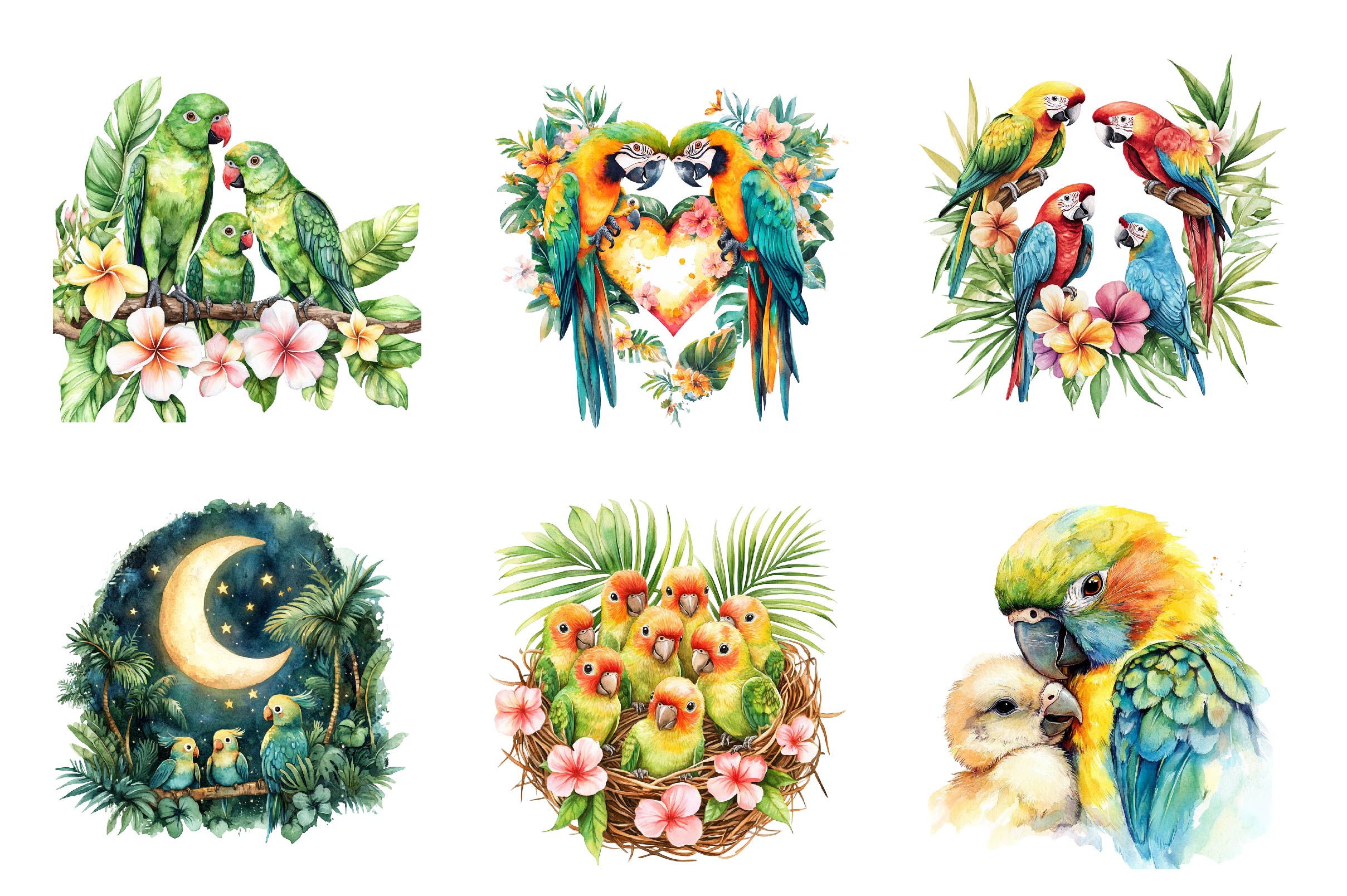 Tropical Parrot Family Clipart Bundle - CraftNest - Digital Crafting and Art