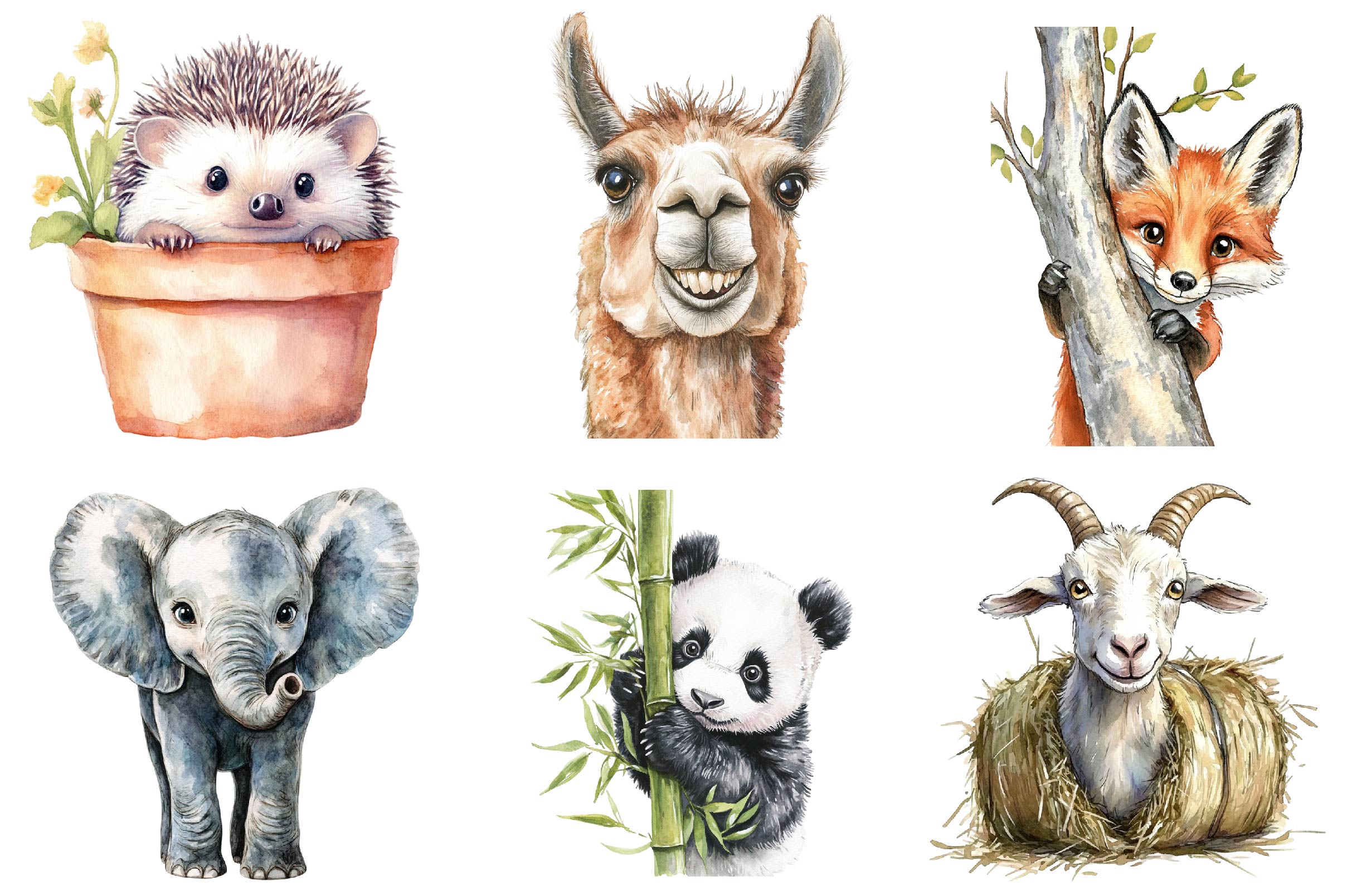 Quirky Animals Peeking Around Corner Clipart Bundle - CraftNest - Digital Crafting and Art