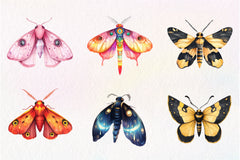 Butterfly Clipart Bundle 5 - CraftNest - Digital Crafting and Art