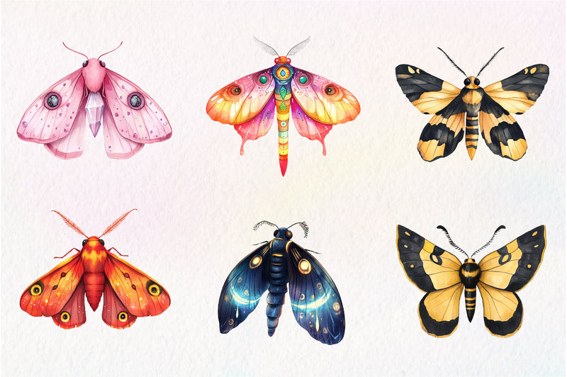 Butterfly Clipart Bundle 5 - CraftNest - Digital Crafting and Art