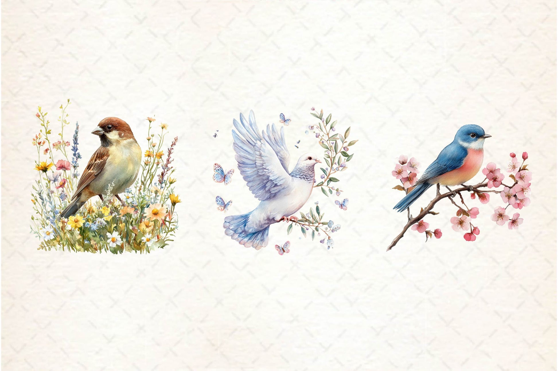 Spring Birds Clipart Bundle 1 - CraftNest - Digital Crafting and Art