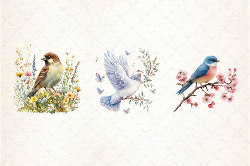 Spring Birds Clipart Bundle 1 - CraftNest - Digital Crafting and Art