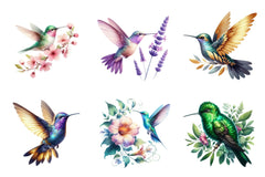 Hummingbird Collection Clipart Bundle - CraftNest - Digital Crafting and Art