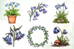 Little Bluebell Flower Bloom Clipart Bundle - CraftNest - Digital Crafting and Art