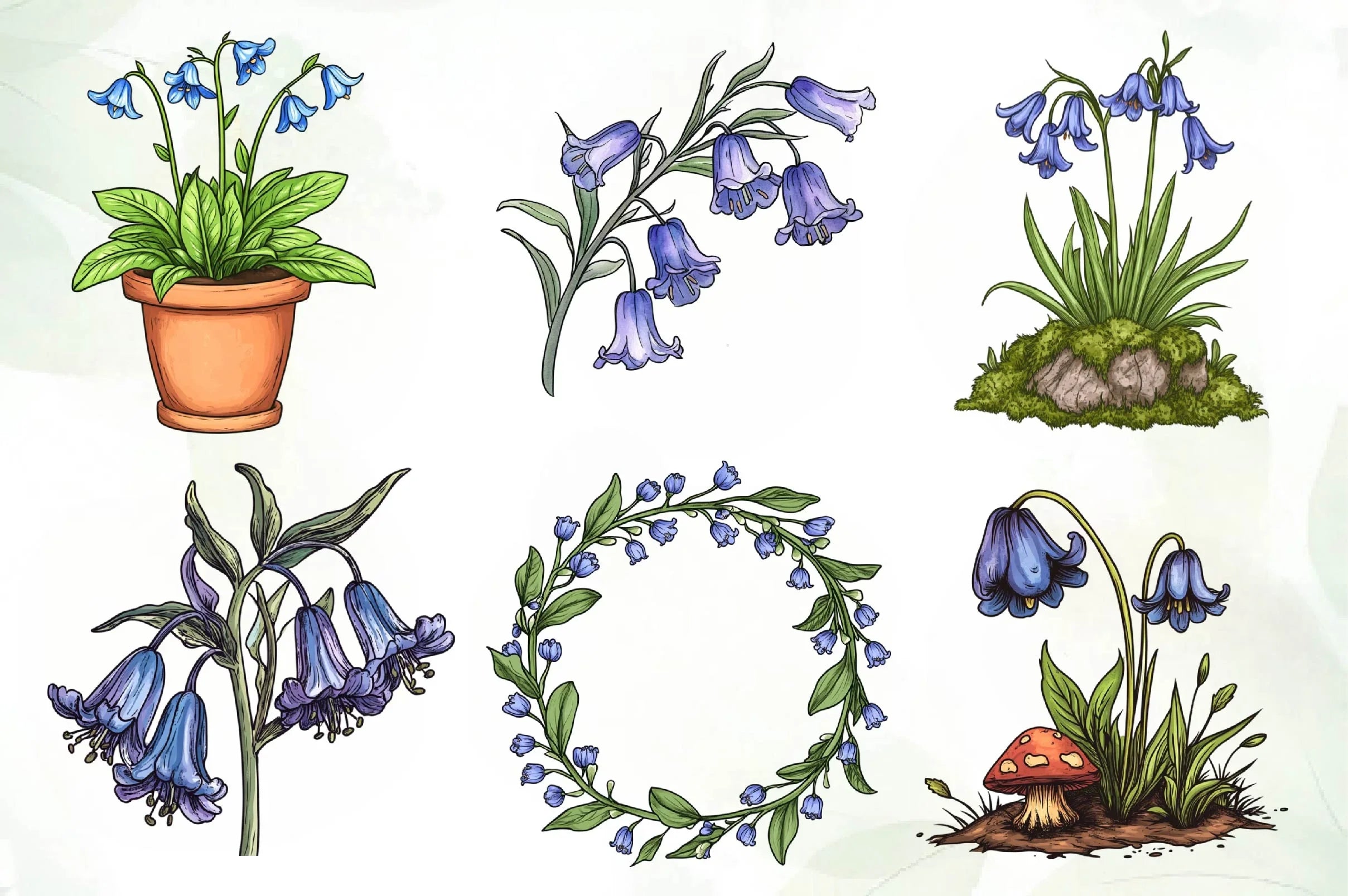 Little Bluebell Flower Bloom Clipart Bundle - CraftNest - Digital Crafting and Art