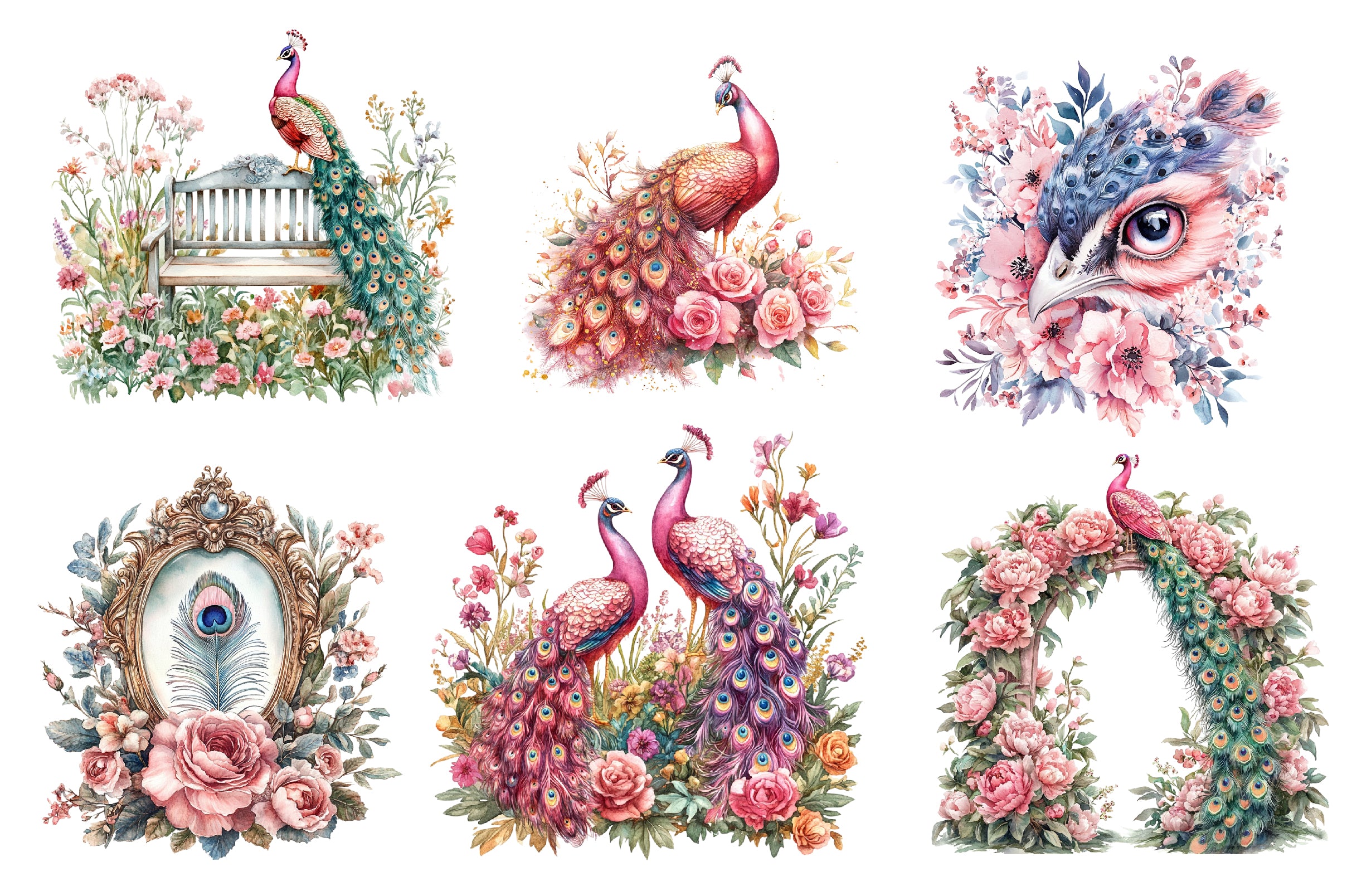Pink Peacocks Garden Clipart Bundle - CraftNest - Digital Crafting and Art