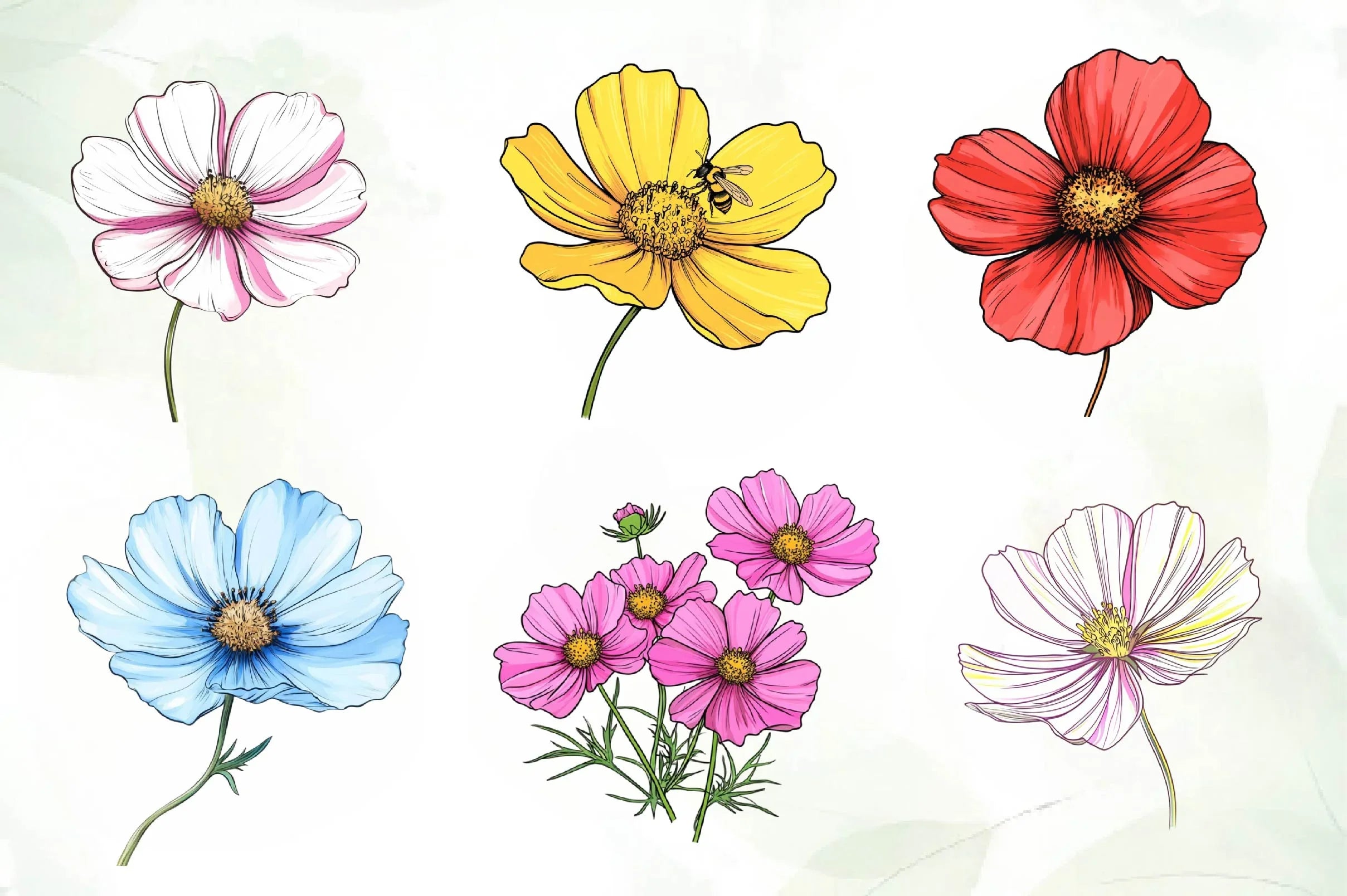 Cosmos Flower Bloom Clipart Bundle - CraftNest - Digital Crafting and Art