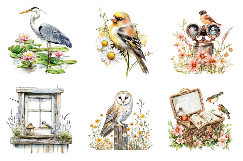 Spring Birdwatching Clipart Bundle - CraftNest - Digital Crafting and Art