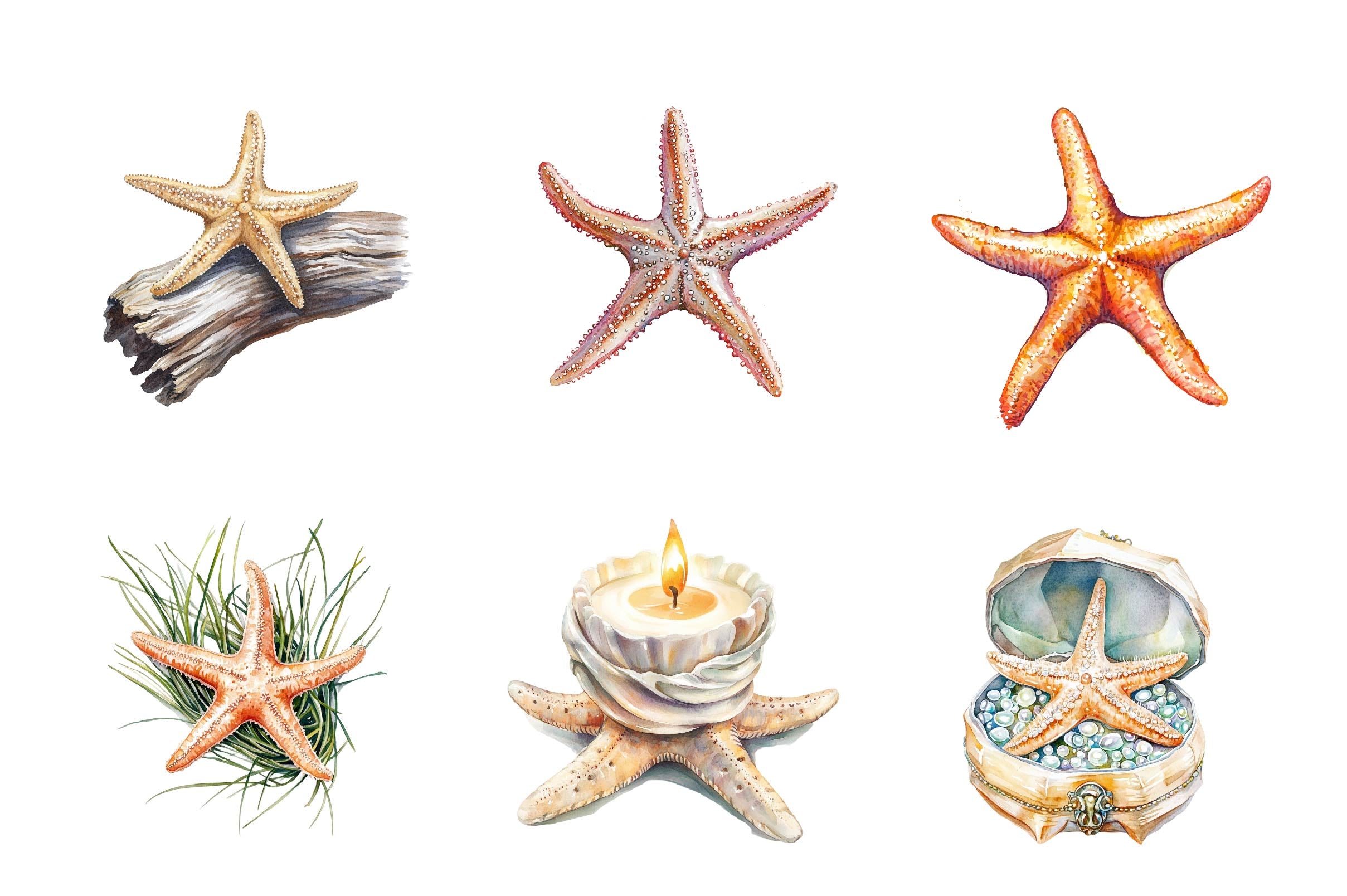 Summer Starfish Clipart Bundle - CraftNest - Digital Crafting and Art