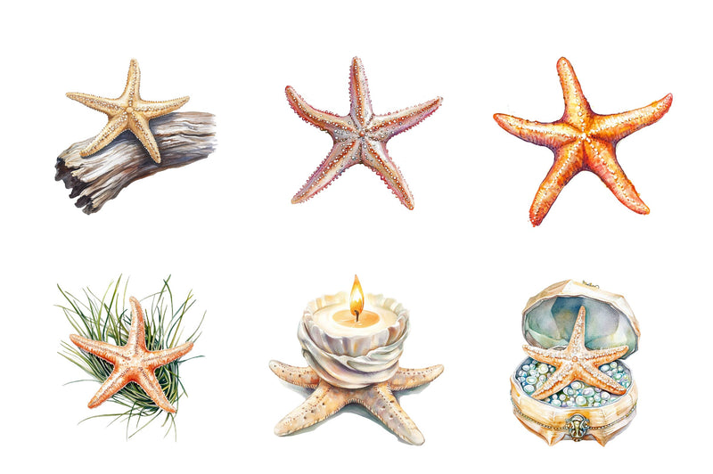 Summer Starfish Clipart Bundle - CraftNest - Digital Crafting and Art