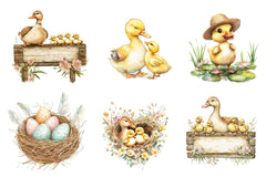 Duck & Duckling Clipart Bundle - CraftNest - Digital Crafting and Art