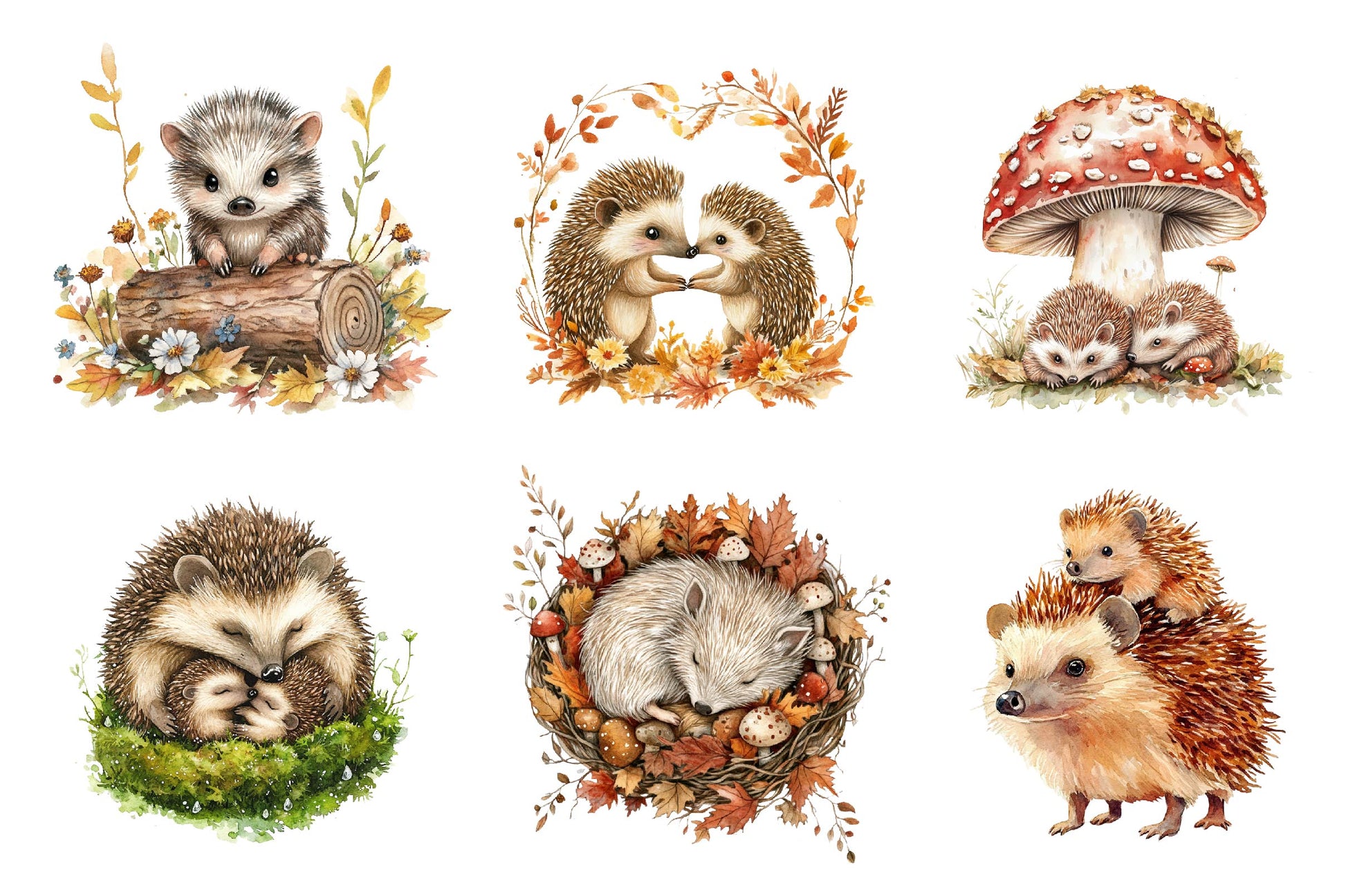 Hedgehog & Hoglet Clipart Bundle - CraftNest - Digital Crafting and Art