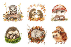 Hedgehog & Hoglet Clipart Bundle - CraftNest - Digital Crafting and Art