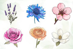 Vintage Single Flowers Clipart Bundle - CraftNest - Digital Crafting and Art