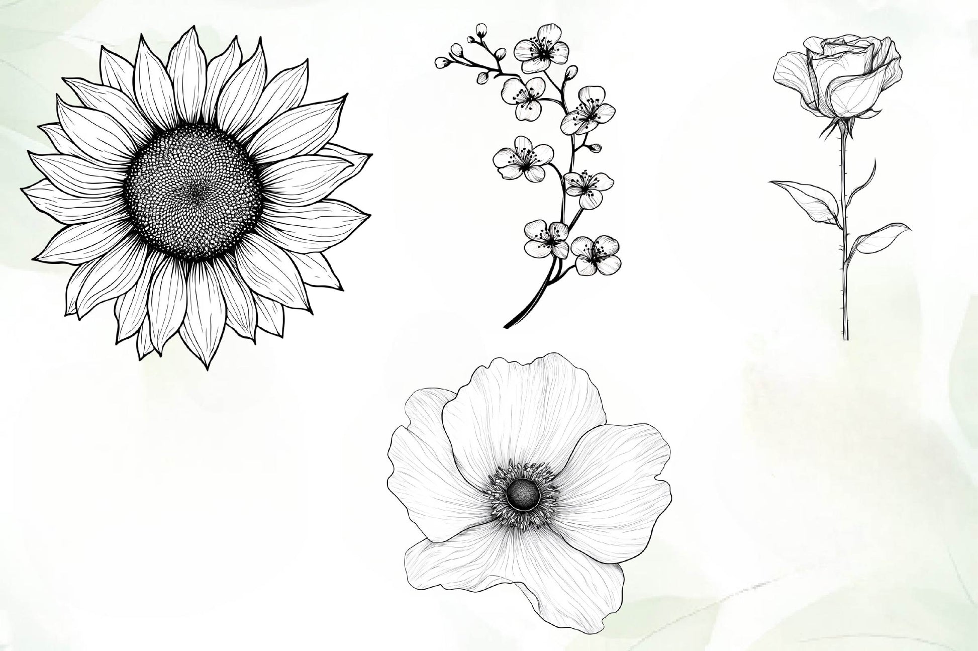 Botanical Line Art Designs Flower Clipart Bundle - CraftNest - Digital Crafting and Art