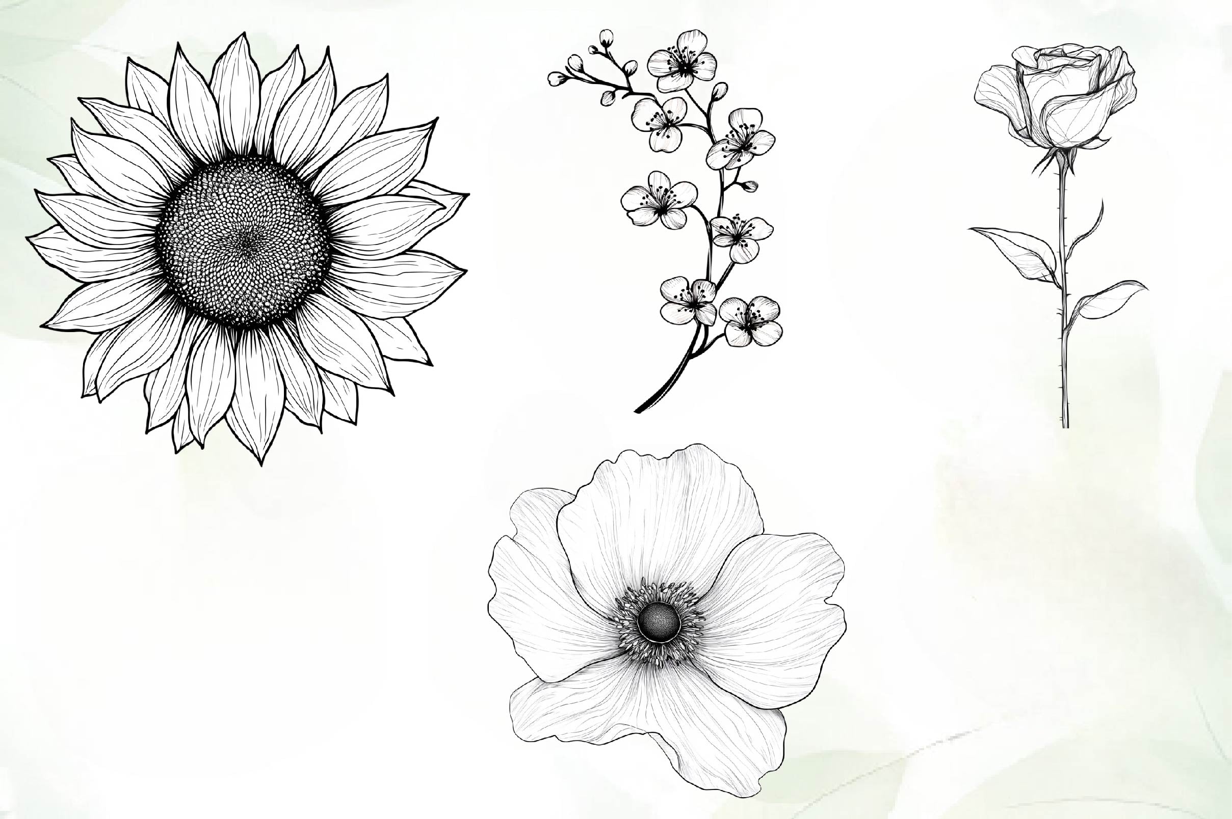 Botanical Line Art Designs Flower Clipart Bundle - CraftNest - Digital Crafting and Art