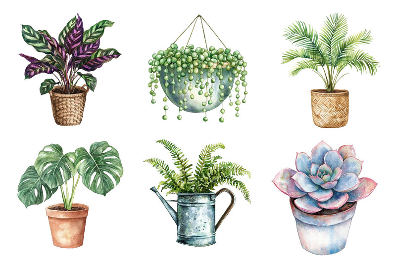 Houseplant Clipart Bundle - CraftNest - Digital Crafting and Art