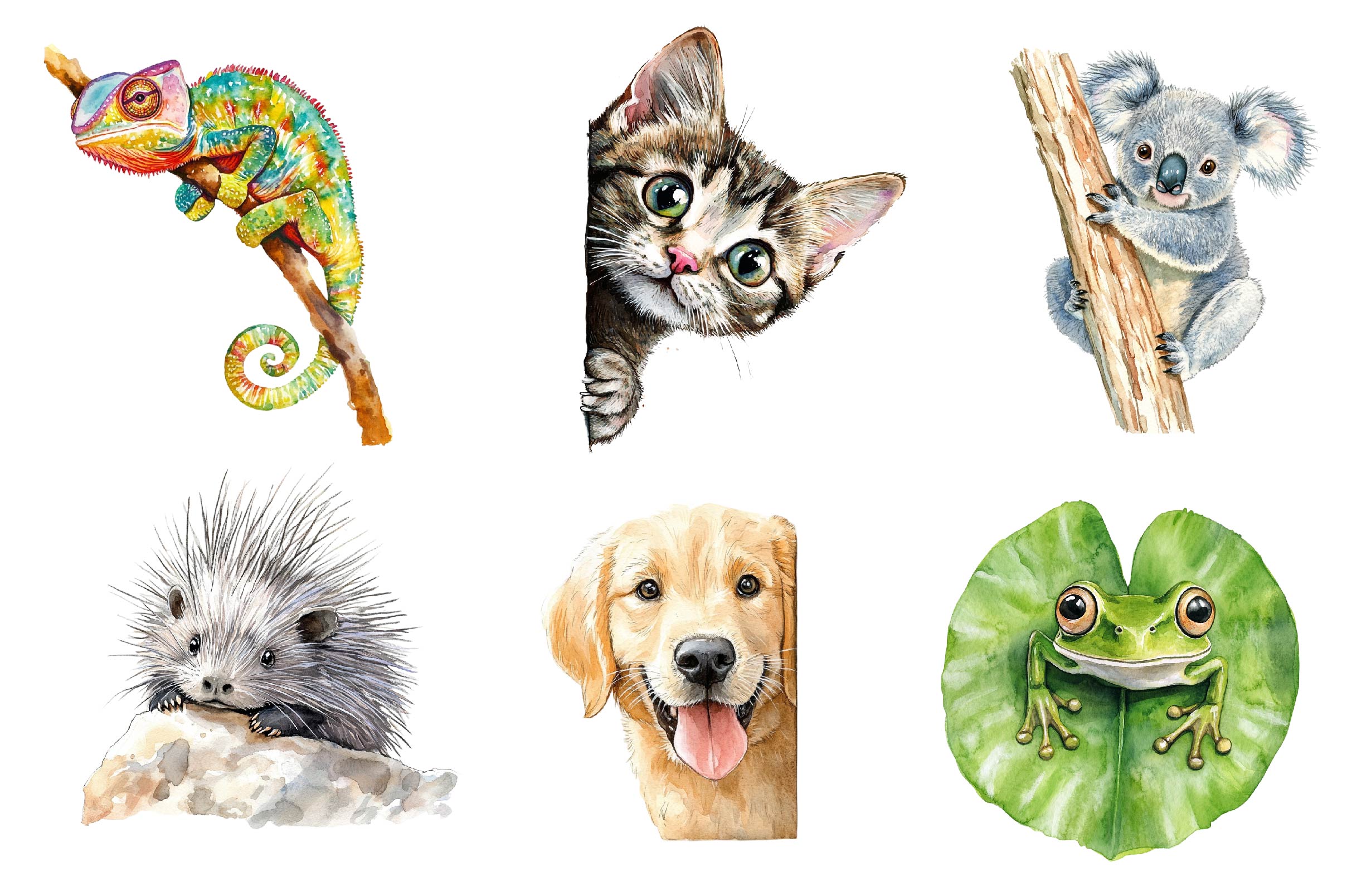 Quirky Animals Peeking Around Corner Clipart Bundle - CraftNest - Digital Crafting and Art