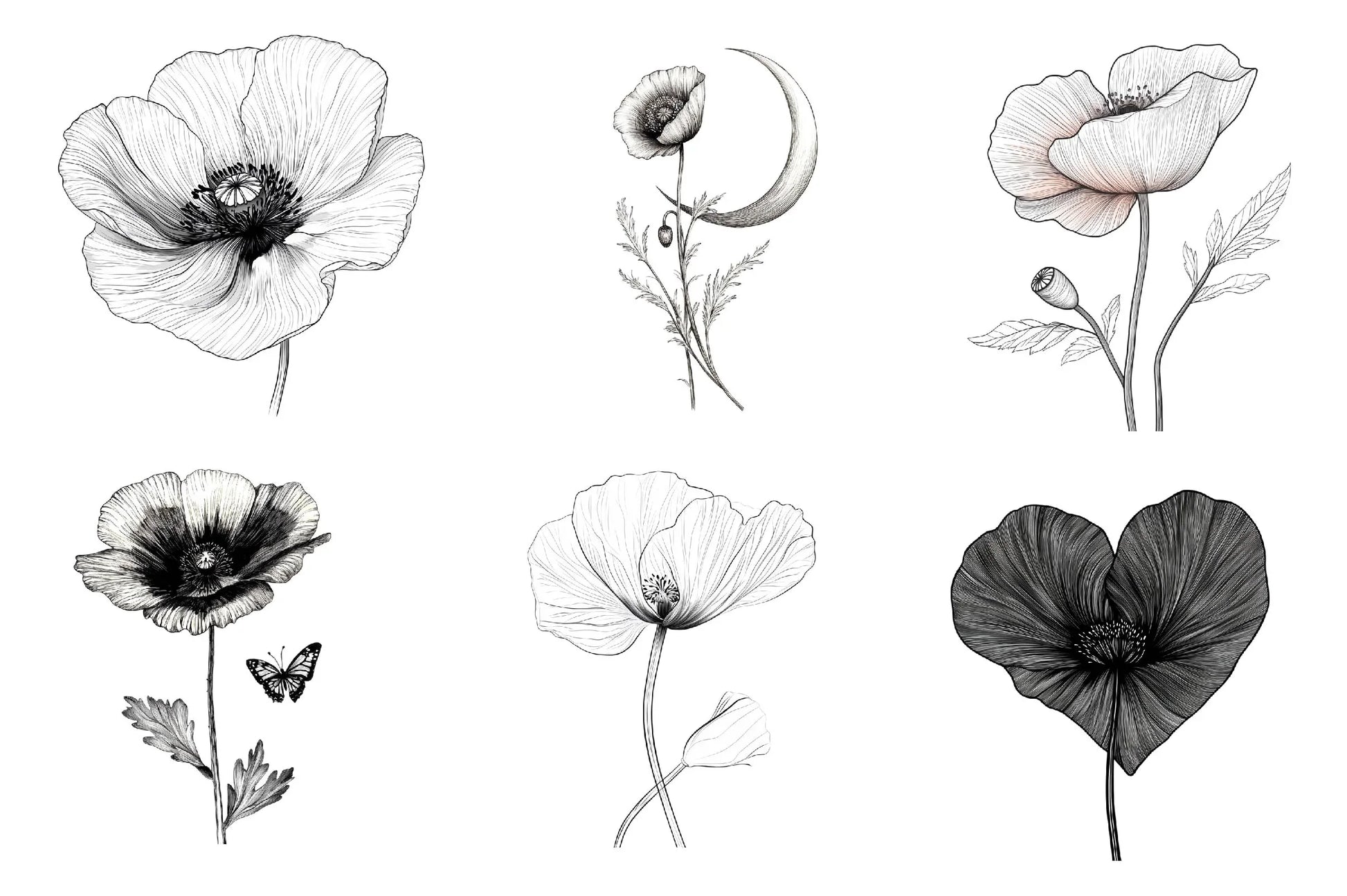 Poppy Flower Clipart Bundle - CraftNest - Digital Crafting and Art