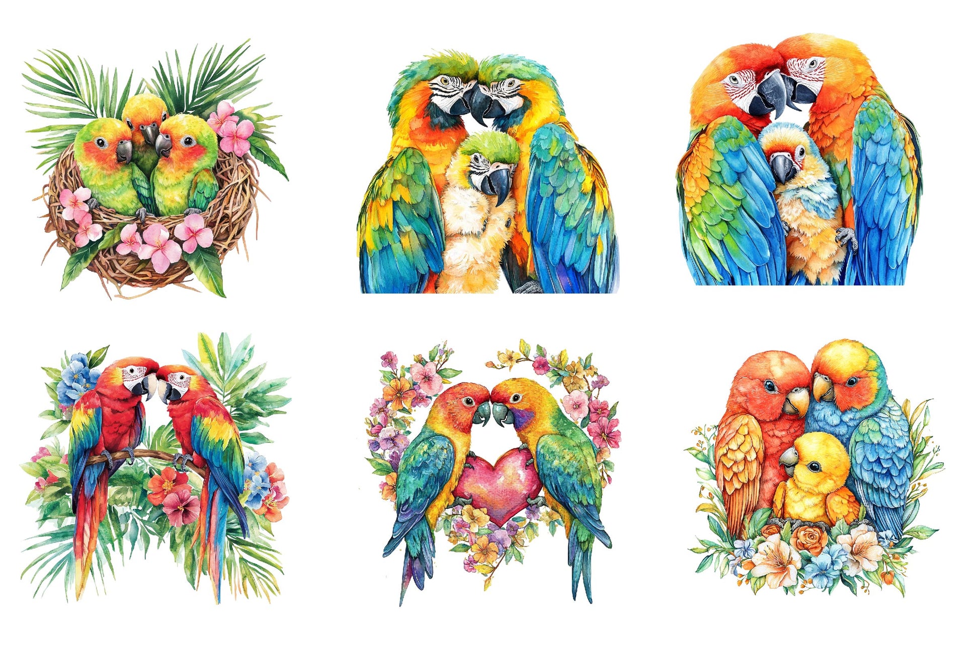 Tropical Parrot Family Clipart Bundle - CraftNest - Digital Crafting and Art