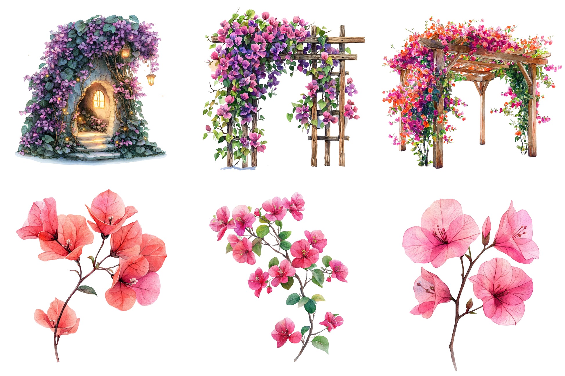 Bougainvillea Flower Clipart Bundle - CraftNest - Digital Crafting and Art