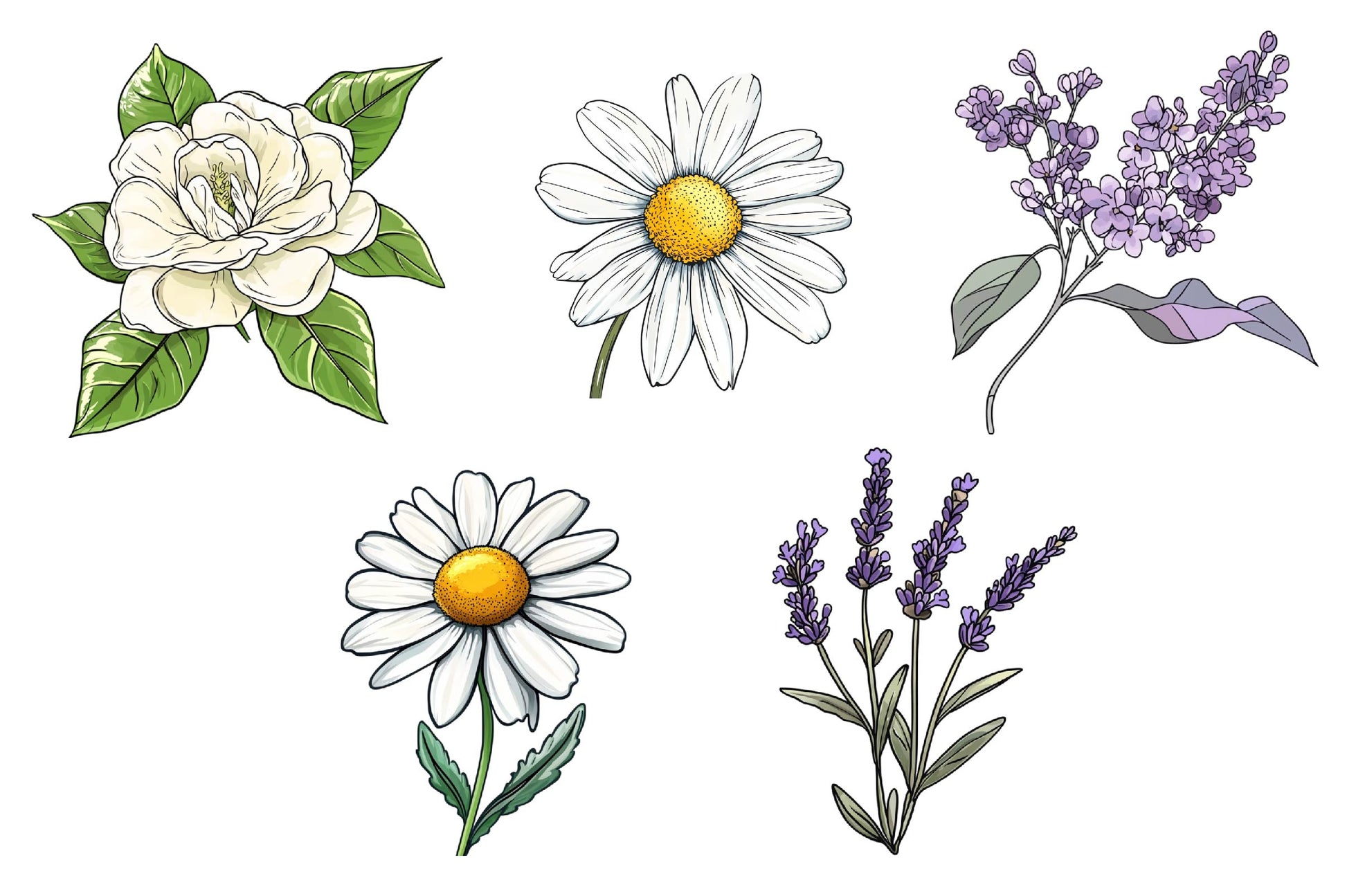 Vintage Single Flowers Clipart Bundle - CraftNest - Digital Crafting and Art