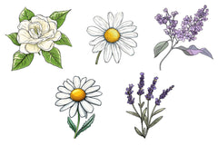 Vintage Single Flowers Clipart Bundle - CraftNest - Digital Crafting and Art
