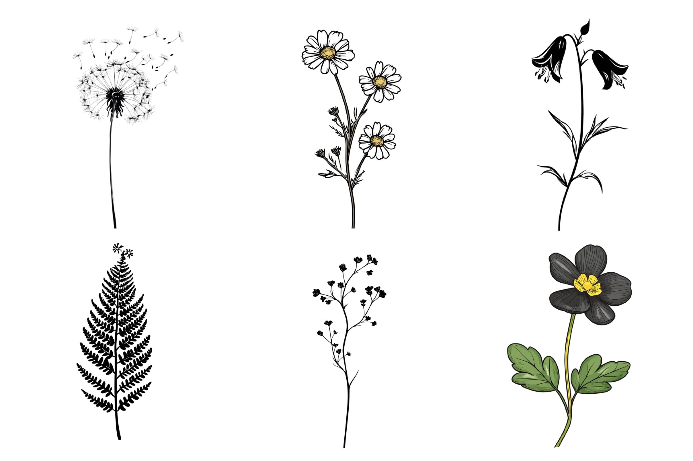Black Wildflower Clipart Bundle - CraftNest - Digital Crafting and Art