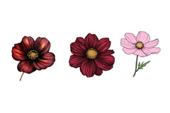 Cosmos Flower Bloom Clipart Bundle - CraftNest - Digital Crafting and Art
