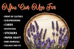Summer Empty Sign & Wildflowers Clipart Bundle - CraftNest - Digital Crafting and Art