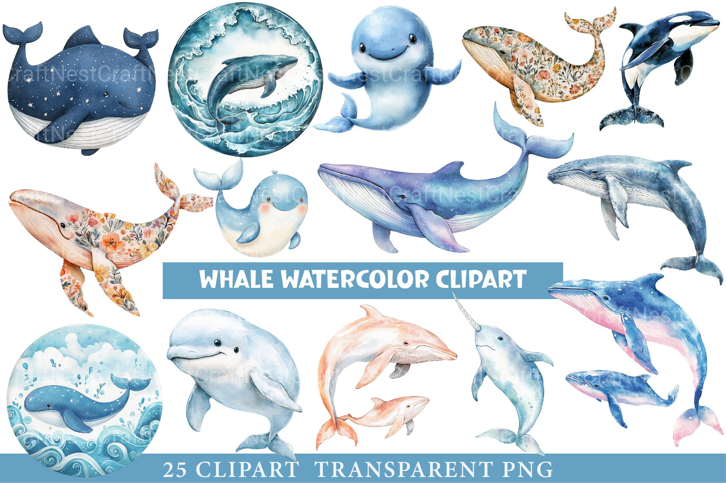 Whale Clipart - CraftNest - Digital Crafting and Art