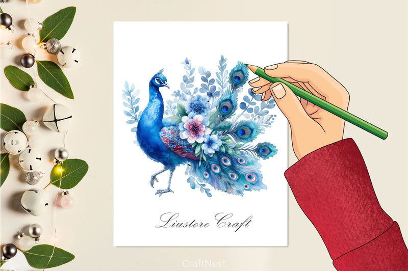 Floral Peacock Clipart Bundle - CraftNest - Digital Crafting and Art