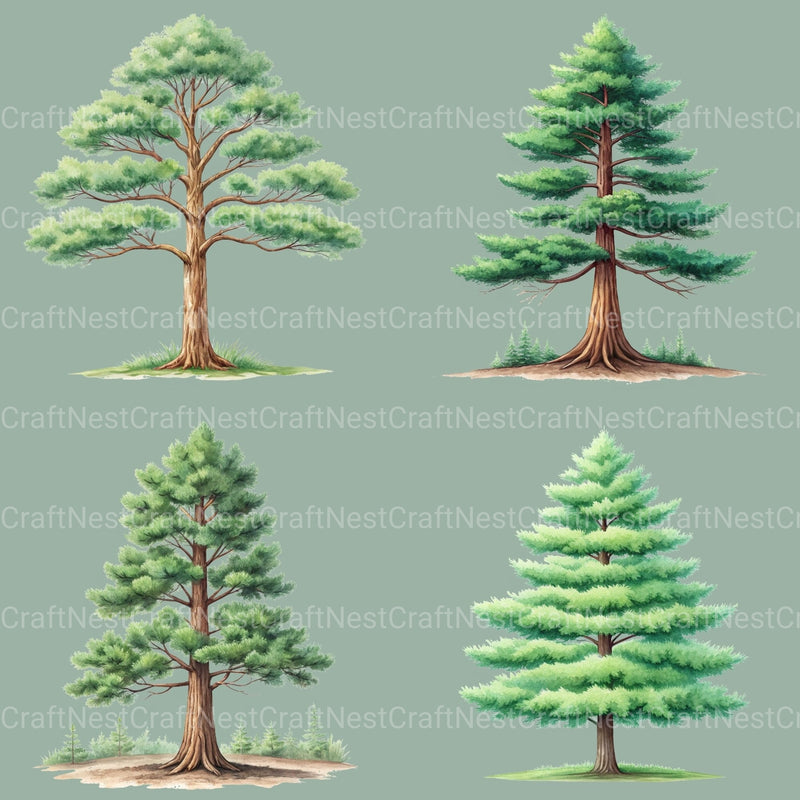 Pine Trees Clipart Bundle - CraftNest - Digital Crafting and Art